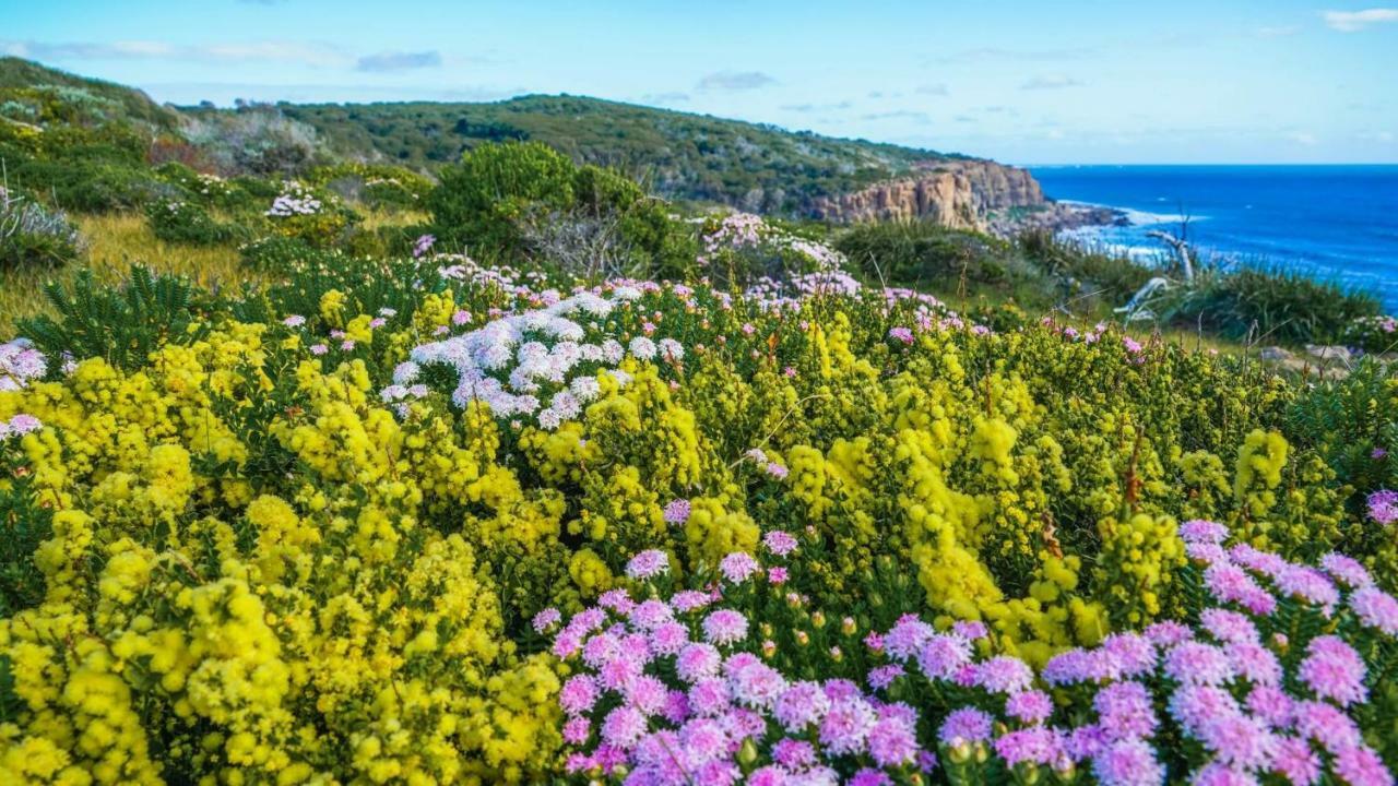 By The Sea Margaret River Gnarabup Bagian luar foto